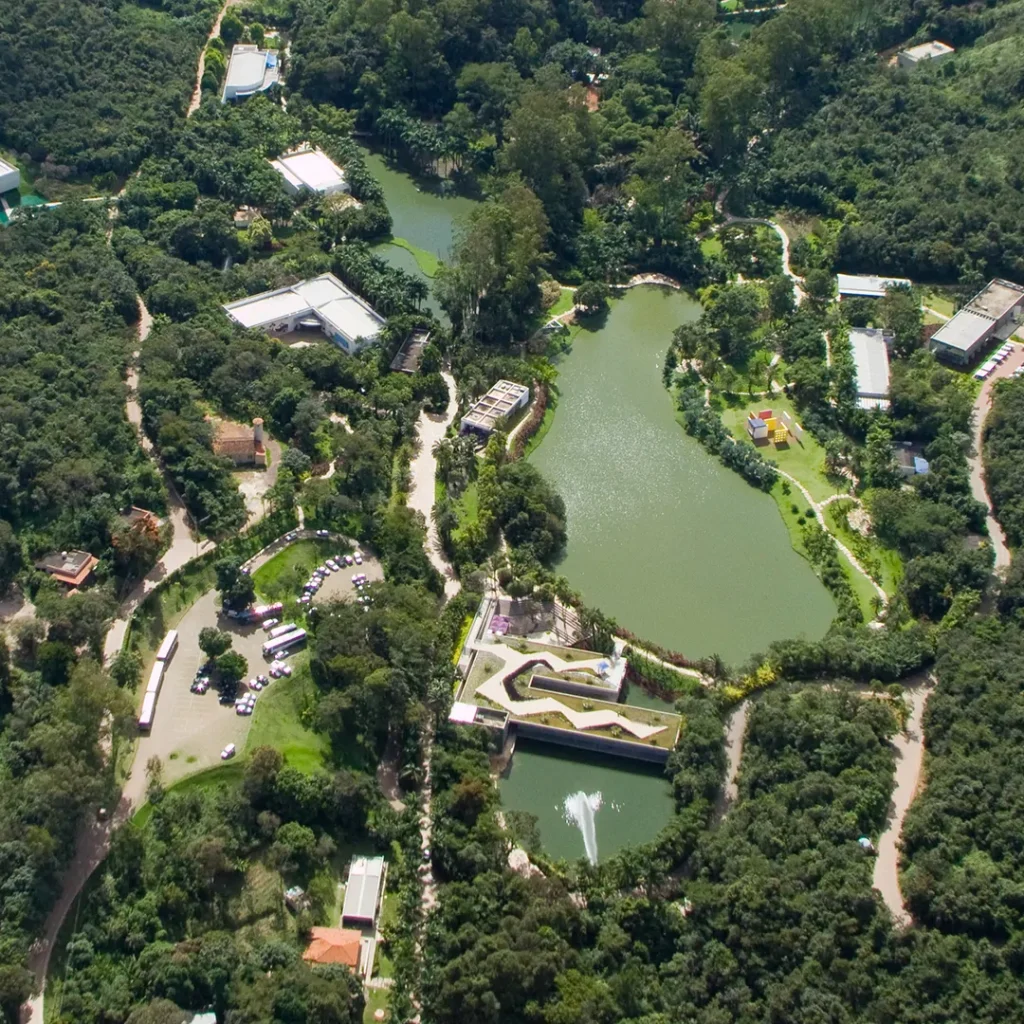 Instituto Inhotim - Divulgação