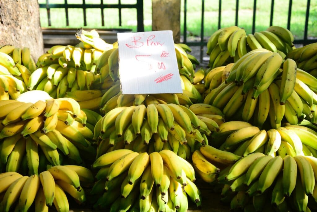 Feira de Rua