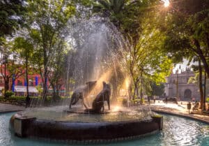 Fonte Coiotes - Coyoacan