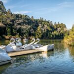 Lago Negro (Black Lake) with Swan Pedal Boats - Gramado, Rio Grande do Sul, Brazil