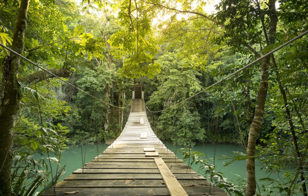 Belize - Passarela no meio da floresta