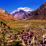 Campos em Mendonza, Argentina