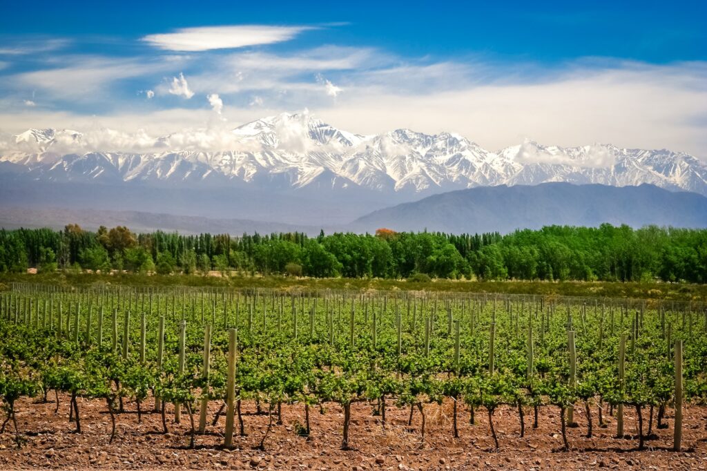 Vinícula em Mendoza na Argentina